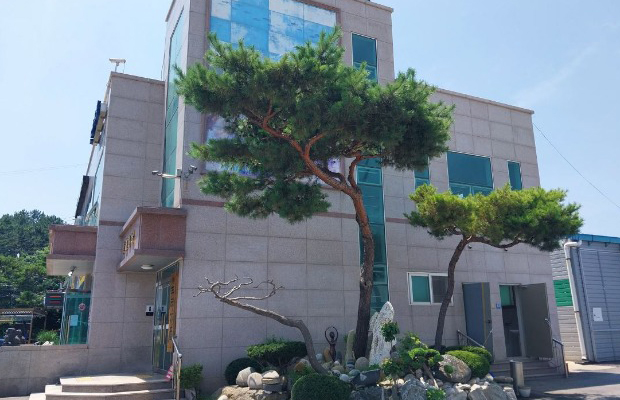 엔피오션